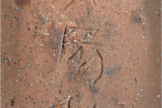 兵马俑的制作者