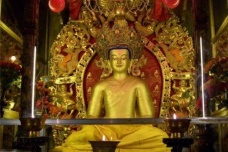 大昭寺位于哪座城市