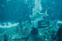 亚特兰蒂斯究竟在哪