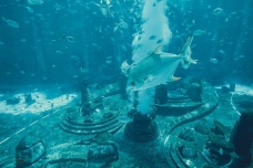 亚特兰蒂斯究竟在哪