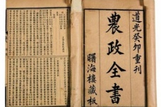 《农政全书》是谁写的