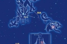 柳土獐星宿简介