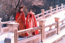 贾母为何喜欢宝琴