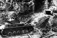 法国战役：灭亡法国的挥镰行动