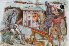 维纳达加战役介绍