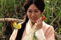 张飞之妻夏侯氏简介