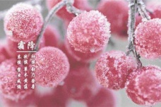 霜降节气应该怎么养生