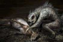 吸血动物卓柏卡布拉袭击事件