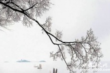 《鹧鸪天》《蝶恋花》诗词锦集