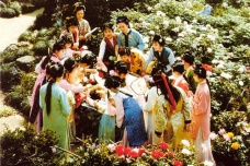 史湘云的相关文本解密