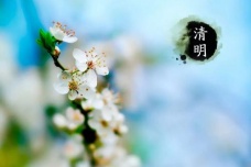 贾岛《清明日园林寄友人》原文译文赏析
