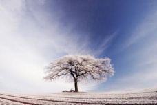 霜降时节养生吃什么