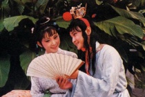 《红楼梦》中晴雯为什么撕扇子