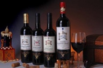 智利为什么盛产葡萄酒