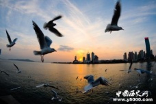 历史文化名城：青岛