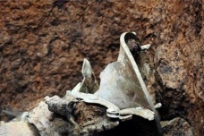 三星堆祭祀坑出土了哪些文物