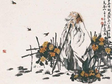 陶渊明独爱菊的原因