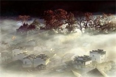 唐诗《阙题》原文译文及赏析
