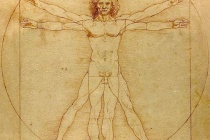 《维特鲁威人》是一幅什么样的作品