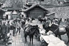 茶马互市是什么