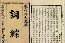 《词综》是谁写的