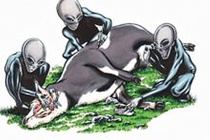 外星人神秘屠牛事件是怎么回事