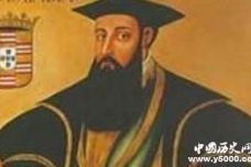 达伽马生平经历介绍