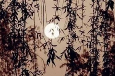 《浣溪沙·一向年光有限身》赏析