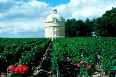 拉图尔酒庄的历史由来