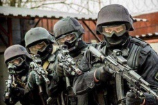 雇佣兵是做什么的