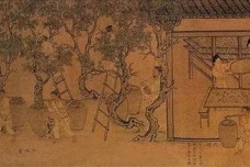 《金陵五题·石头城》译文及赏析