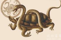 四大神兽的北方之神:玄武