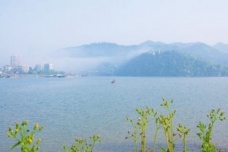 《登西台恸哭记》写了什么