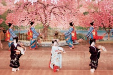 日本樱花节是什么时候