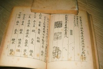 《唐新本草》的历史地位