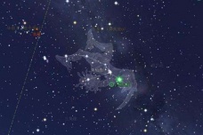 胃土雉星宿简介