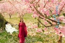 璇玑与司凤在原著里有多虐心