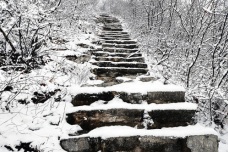 《苦寒行》赏析