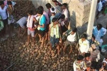 印度牛粪大战是怎么回事