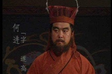 何进的生平简介