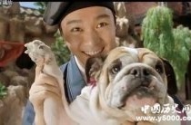 电视剧中的唐伯虎形象是虚构的