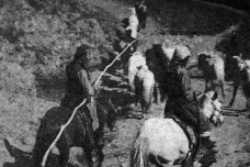 早期的蒙古是什么样的