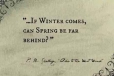 关于雪莱的励志名言三十句