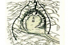 寻龙点穴怎么操作