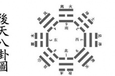 八卦的不同类型