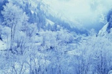 《采桑子·塞上咏雪花》翻译与赏析