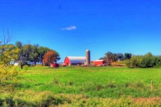 美国乳牛之州是哪里