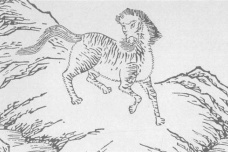 山海经中真实存在的动物鹿蜀