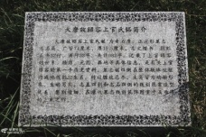 太平公主与上官婉儿关系亲密并非情敌