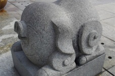 生肖猪的守护神